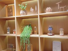 -左悦·艾灸调理·推拿按摩·精油SPA(卓悦汇店)