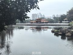 -荔枝公园(福田区)