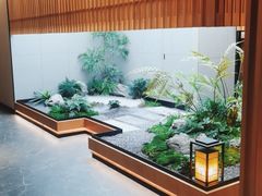 -鲁班张葱烧海参(马庄街店)