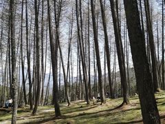 -硗碛藏寨·神木垒景区