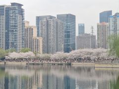 -西北湖绿化广场