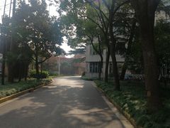 -上海财经大学(国定路校区)