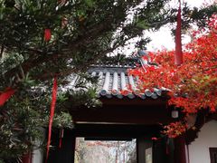 -大慈岩风景区