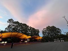 -广州长隆国际大马戏