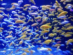 -成都浩海立方海洋公园