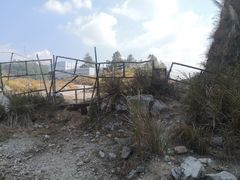 -黄埔油麻山森林公园