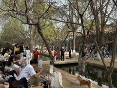 -春风习习