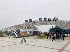-紫颐香薰山谷景区
