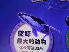 -左海海底世界