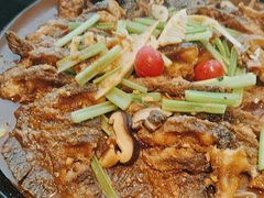 -老板恋上鱼(恒隆广场店)