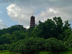 -红花山公园