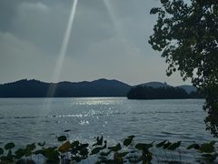 -东湖落雁景区