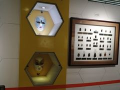 -上海昆虫博物馆