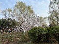 -西安汉城湖景区