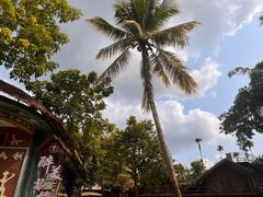 -海南槟榔谷黎苗文化旅游区
