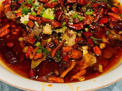 -高玛纳驴肉火烧(河间店)