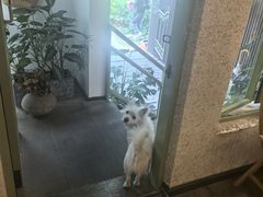 -绿房子方寸咖啡(星海名城店)