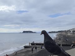 -灌篮高手动画打卡地
