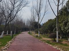 -滨湖塘西河公园
