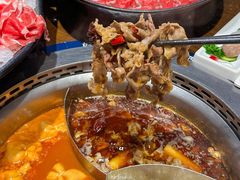 -快乐小羊(富强中路店)