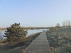 -东郊湿地公园