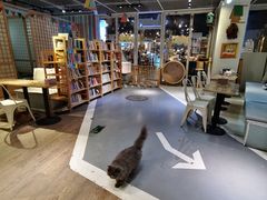 -小时光咖啡馆(开森度假森林店)