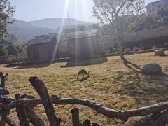 -泉州海丝野生动物世界