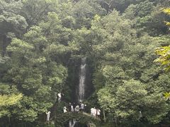 -十里琅珰