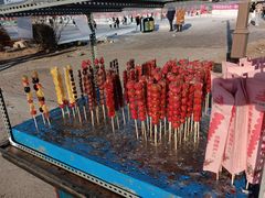 -长春市南湖公园