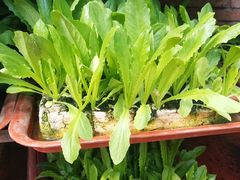 -新竹里馆·花园餐厅(兴苑路店)