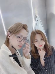 点击看大图 -金棕榈