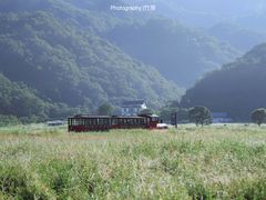 -大九湖