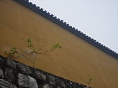 -敬亭山风景名胜区