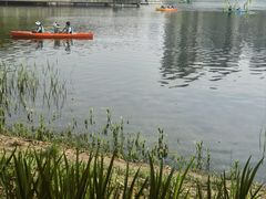 -新江湾城公园