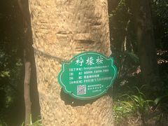 -白云山风景名胜区