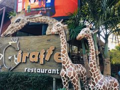 -清迈夜间动物园