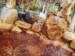 -张家港金凤凰度假村温泉