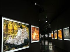 -罗红摄影艺术馆