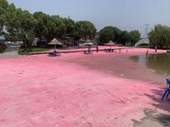 -上海杨姆庄园