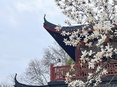 -堤角公园