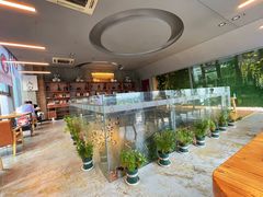 -了不起的考拉咖啡店(高新店)
