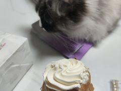 -上海哈尔滨食品厂(新世界新丸中心店)