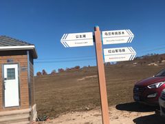 -乌兰布统草原