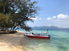 -东姑阿都拉曼海洋公园