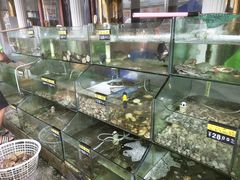 -四海鲜渔家菜(黄金海岸店)