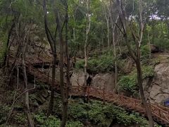 -大岭沟猕猴桃谷风景区