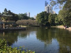 -晓港公园
