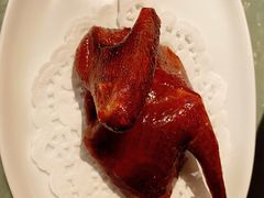 乳鸽-三号黄浦会Canton Table