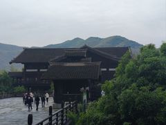 -大唐贡茶院