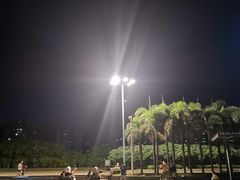 -万绿园